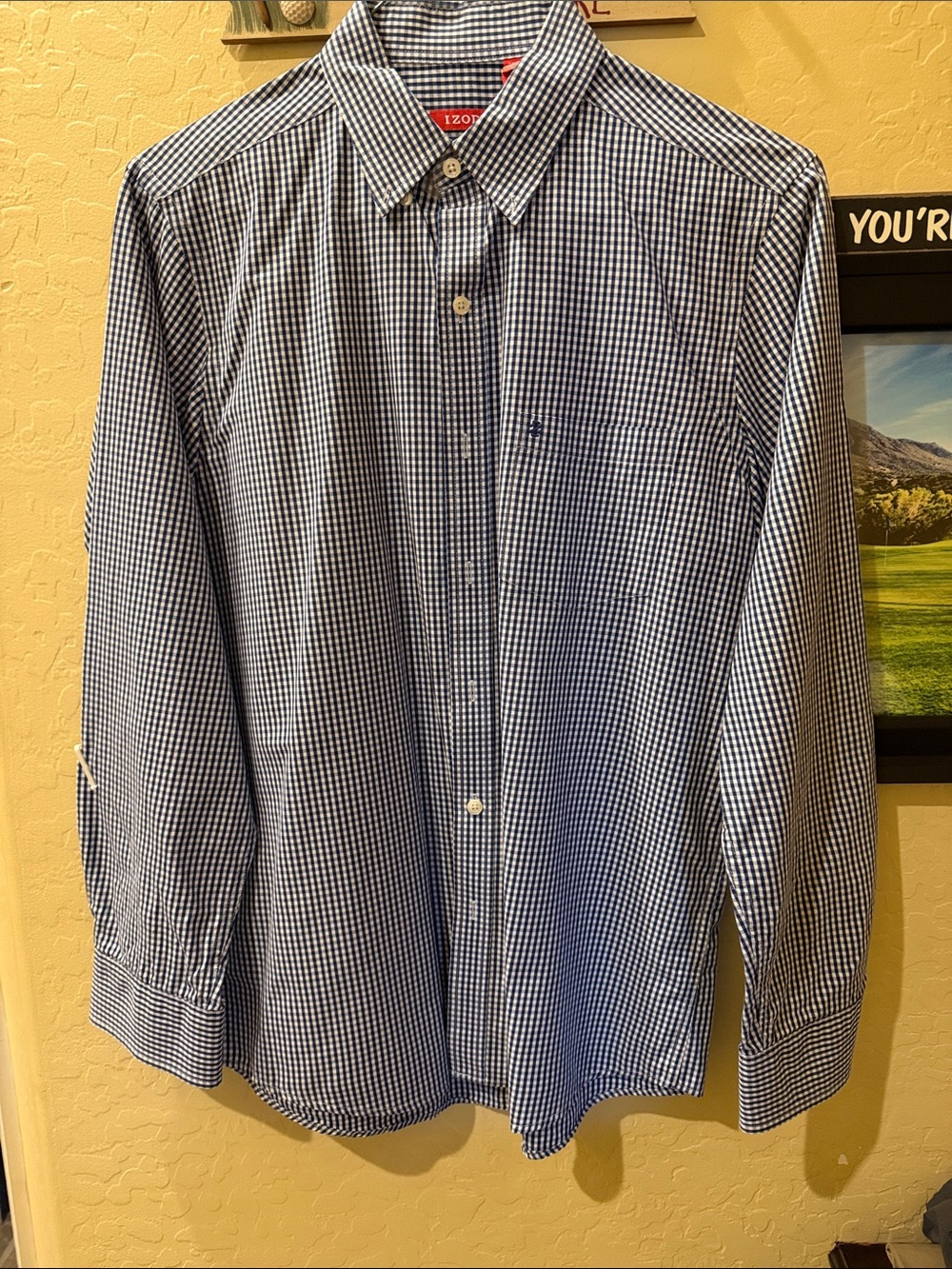 Izod Navy and White Gingham Dress Shirt Slum Fit M